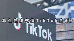 怎么在线充值TikTok金币？